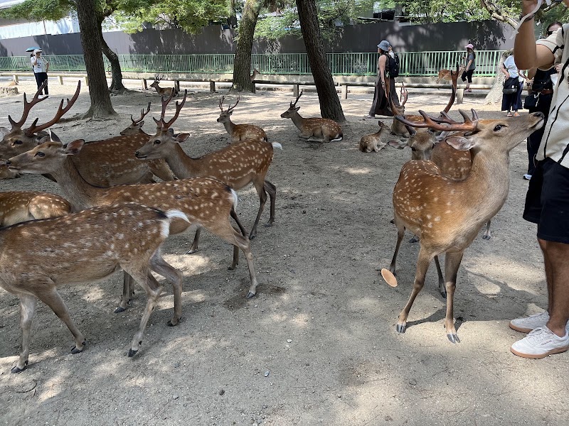 노보리오지 원지