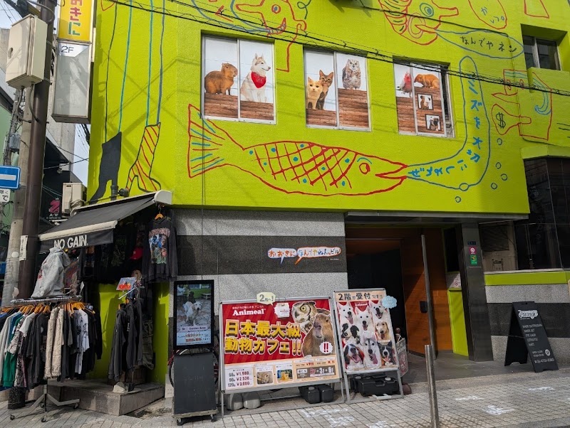 릴로커피 킷사